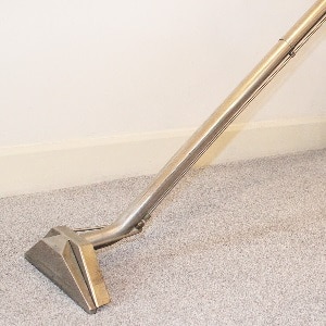 carpet steam cleaning