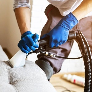 sofa cleaning