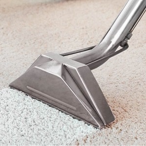 residential carpet cleaning north york