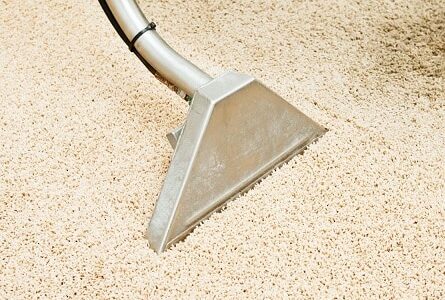 how to choose the best carpet cleaning company