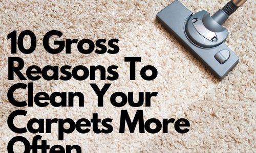 10 Gross Reasons To Clean Your Carpets More Often