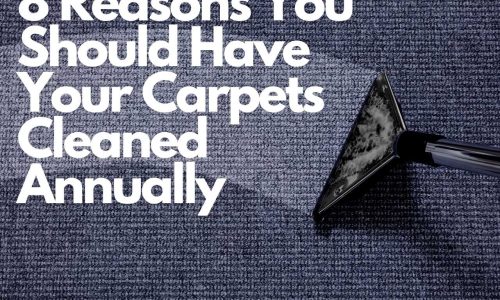 8 Reasons You Should Have Your Carpets Cleaned Annually