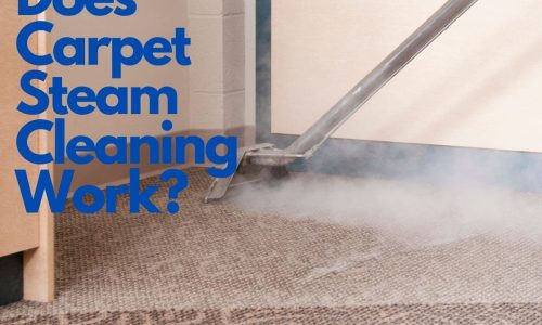 Does Carpet Steam Cleaning Work